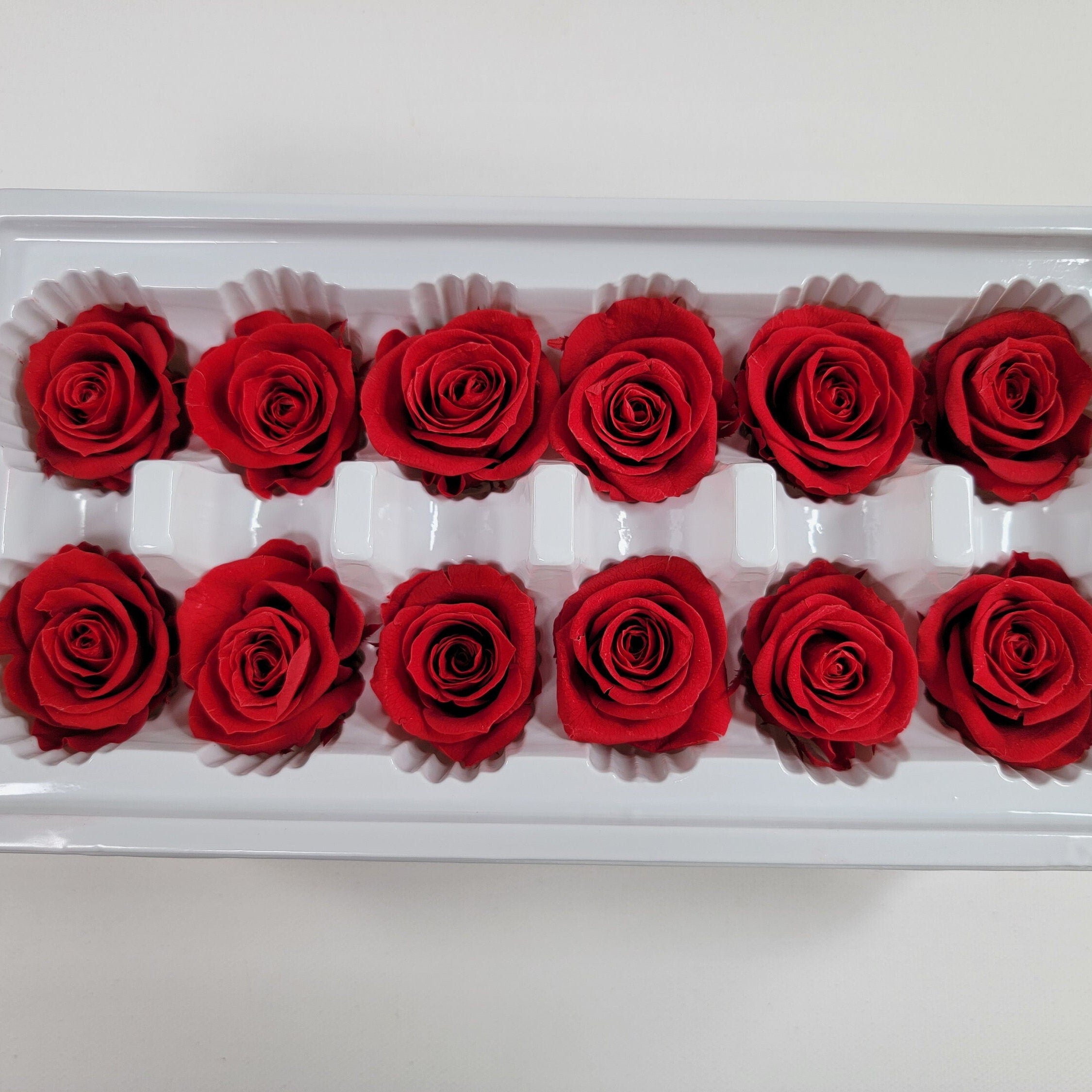 12 Red Preserved Roses: DIY Floral Arrangements & Wedding Decor